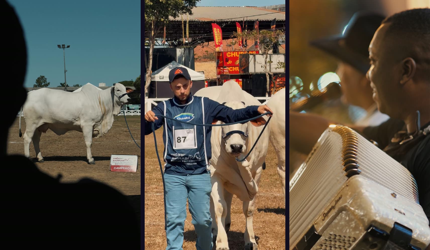 Três cenas da Expo Agropecuária de Campos lado a lado: um nelore na pista de julgamento, dois produtores diante do Pavilhão 2 e as letras iluminadas na noite do evento